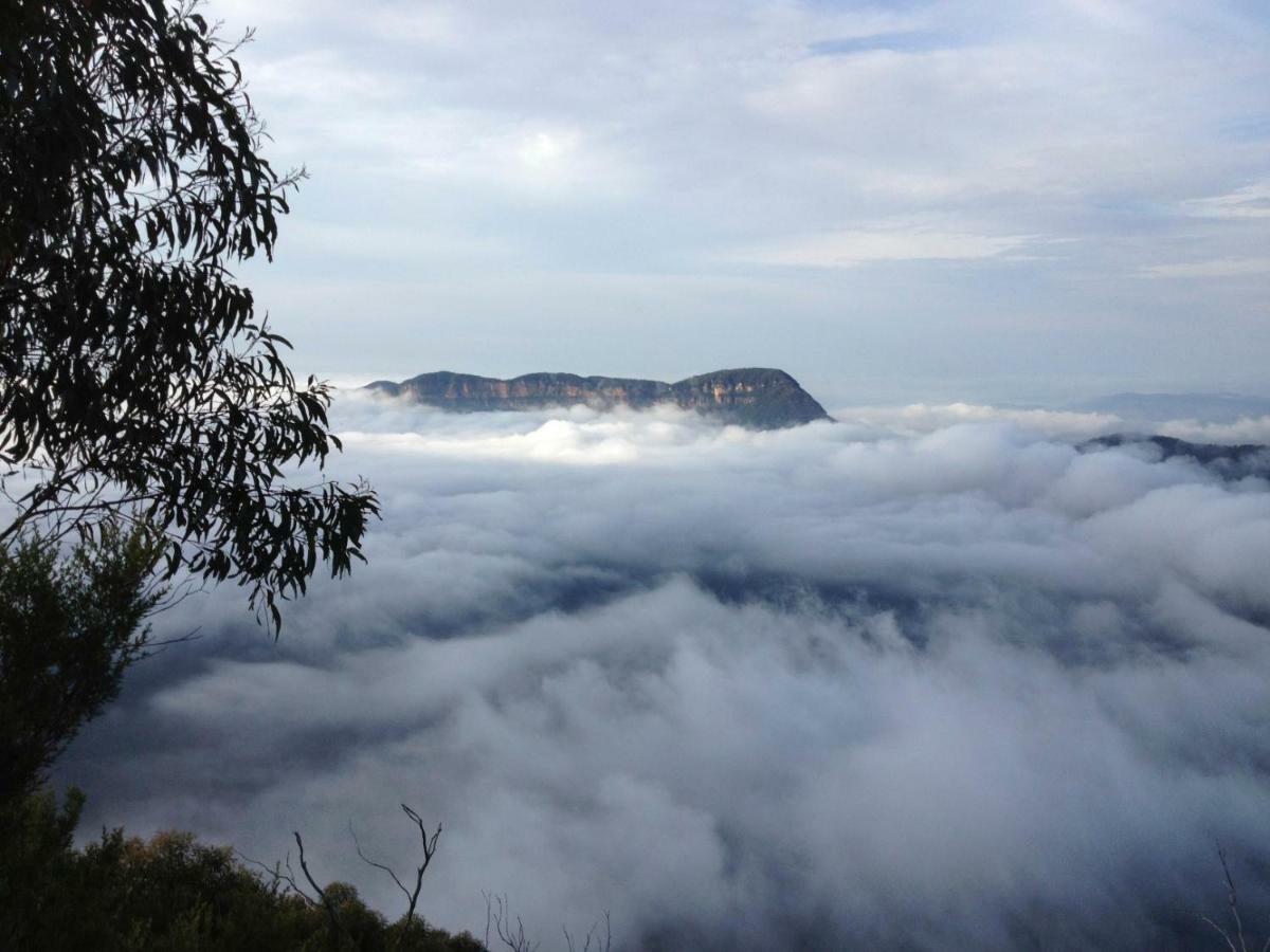 Ribbon Gum Lodge Katoomba Luaran gambar